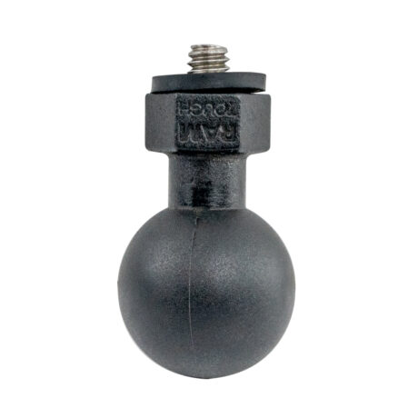 RAP-B-379U-252025-RW_2